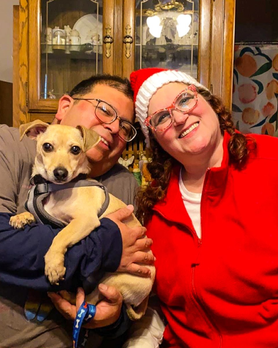 PairEyewear's tweet photo. Paws for a moment and let's celebrate #NationalDogDay! 🐶
Drop the name of your four legged best friend below! ⬇️
(📸: Kristen Kathrein, Brandy Mulhare, Lisa Hornish, Amy Grant Regalado) #PairFam #TheElla #TheWanda #TheSoto https://t.co/punvVI8rER