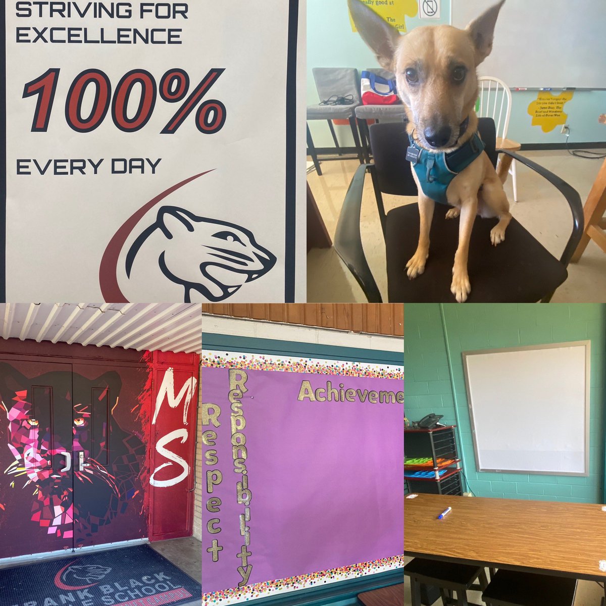 I wish I took more photos today. B/c the BEST thing I saw were <a href="/Panther_Proud/">Frank Black MS</a> teachers all over the place, in each other classes, helping and supporting each other (and Nola stopping by to say hello). Shoutout to Ms. Thiel for her enthusiasm in showing her new classroom set up!