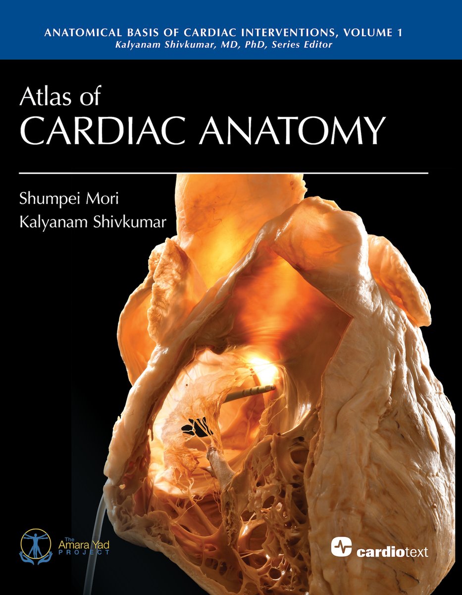 Please visit the stand of our sales agent Wisepress Medical Bookshop at the ESC Congress 2023, # A360, in Amsterdam. Preview and purchase the latest heart rhythm books from Cardiotext Publishing.