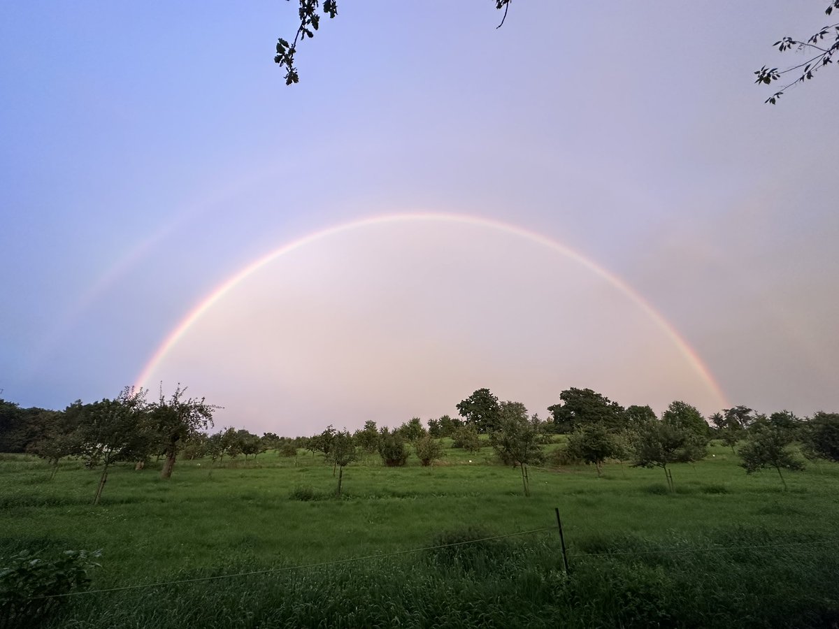 realbookofbenj's tweet photo. Double rainbow 🌈 🌈 
#rainbow #doublerainbow #photography #nature #shotoniphone https://t.co/6PdV6ufbMz