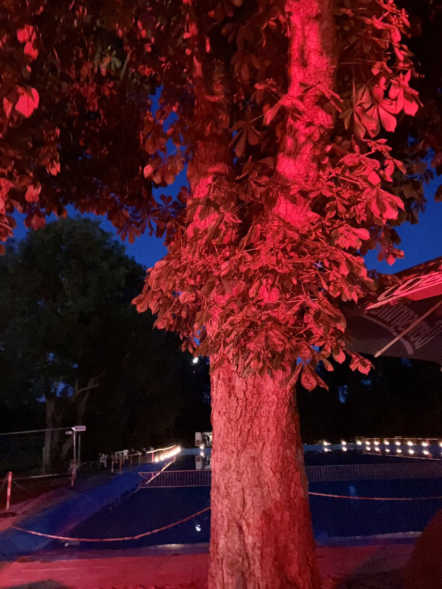 CoraLandshuter's tweet photo. #cocktailabend #Freibad #Langenweddingen #Sommer #Wochenende 🫶🎊🍹🎆 https://t.co/tWsDXvaW3l