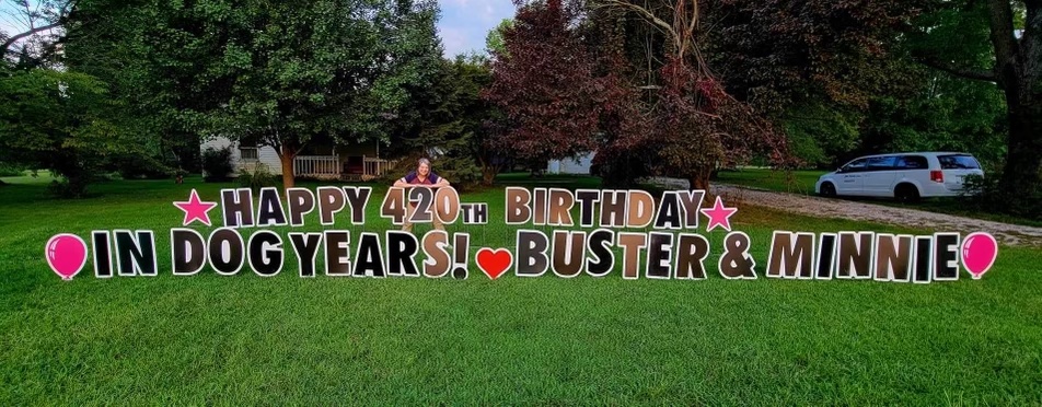 Springfield Yard Cards tweet media