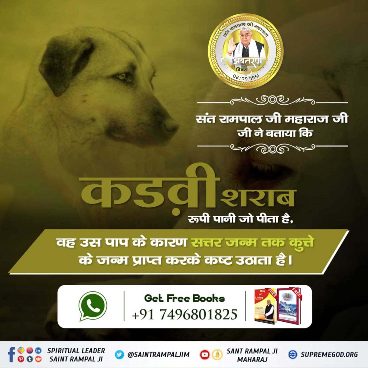 #SantRampalJiEternalKnowledge

संत रामपाल जी महाराज जी ने बताया कि कड़वा शराब रूपी पानी जो पीता है वह उस पाप के कारण 70 जन्म तक कुत्ते की जन्म प्राप्त करके कष्ट उठाता है।

📲 Visit our Youtube Channel -
      Satlok Ashram

ಸಂತ ರಾಮ್‌ಪಾಲ್ ರವರ ತತ್ವಜ್ಞಾನ