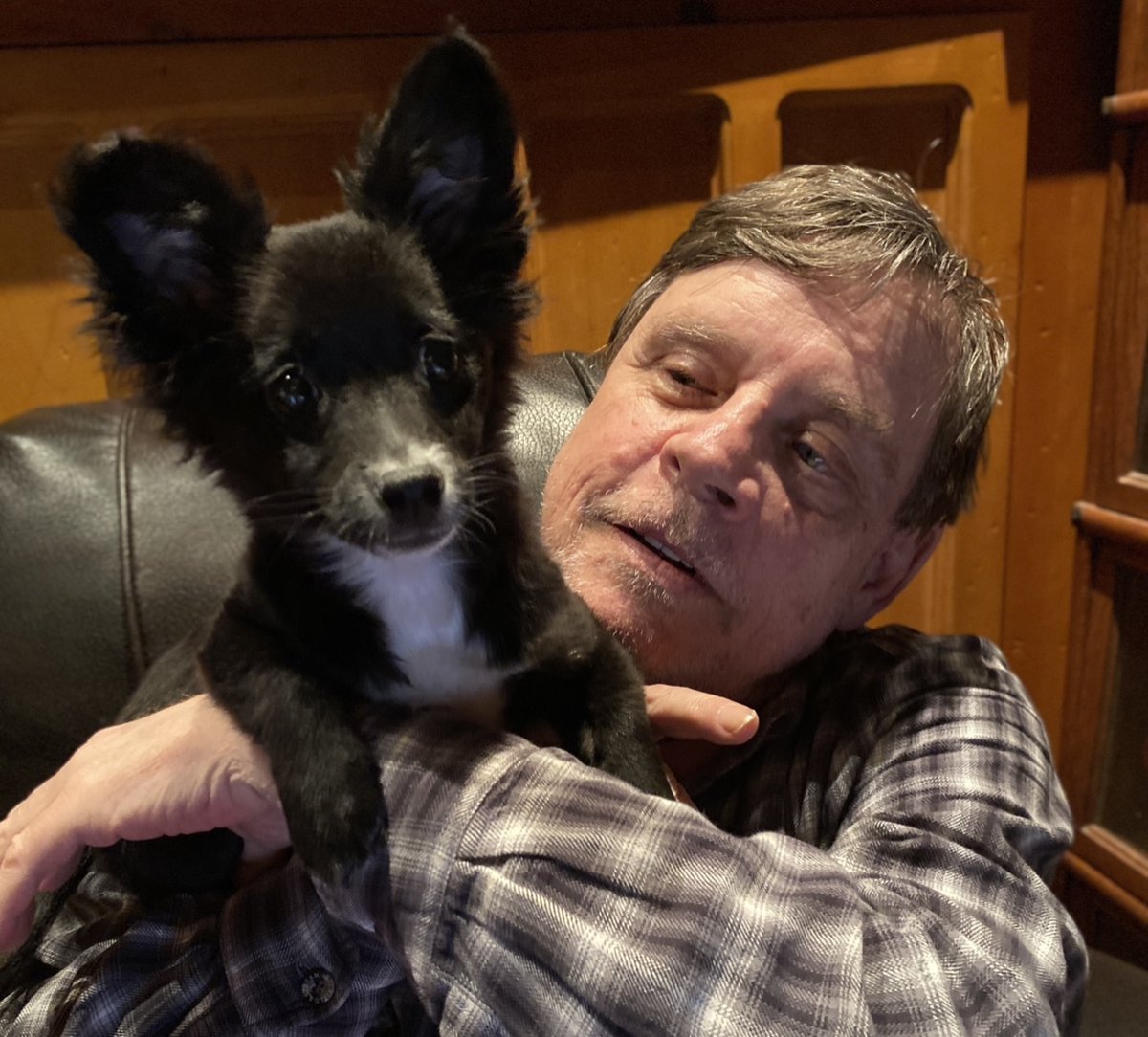 MarkHamill tweet picture