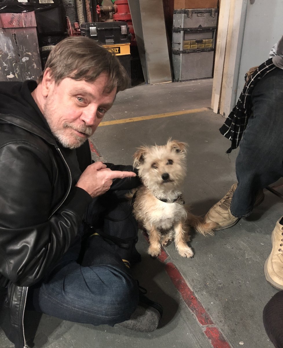 MarkHamill tweet picture