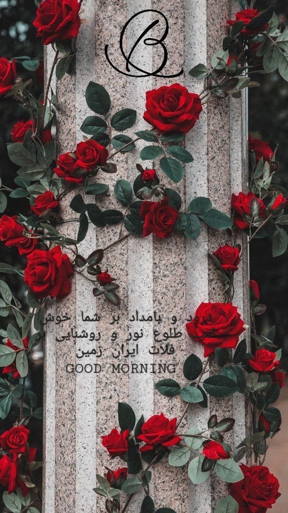 kbenshams's tweet photo. https://t.co/6fRek7ki8p