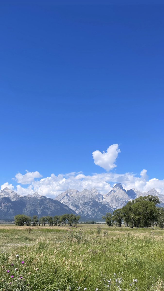 Well, that was a fun few work days in Jackson Hole…