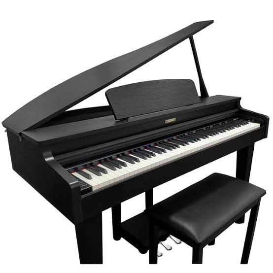 Fatos baleia:

Baleias são incapazes de tocar piano.