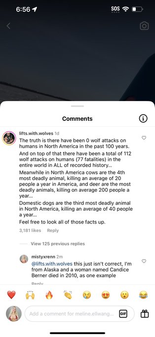 Okay if you guys want me to be more active on Instagram, I will also be arguing with people about wolf