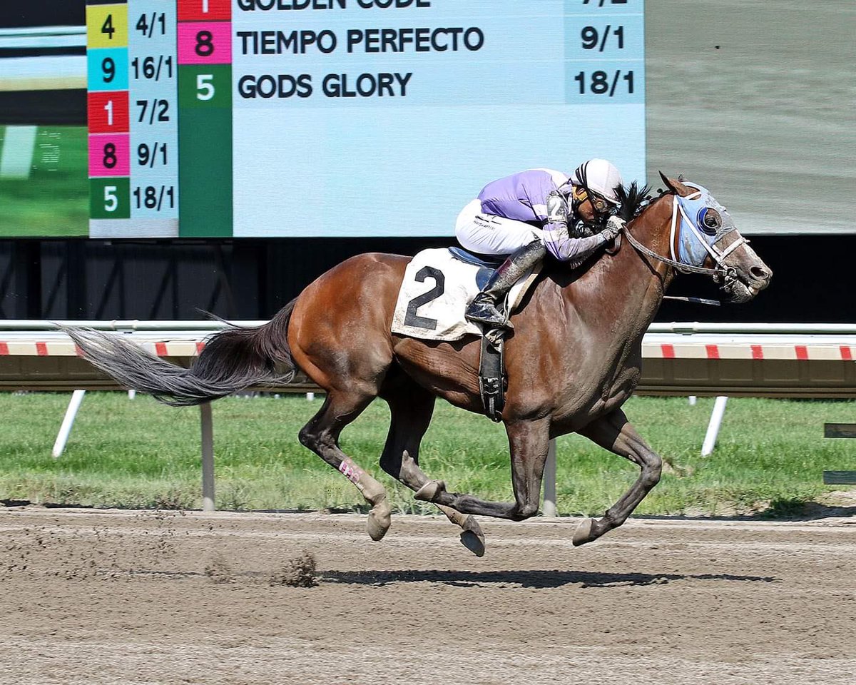 Flatter Me and I getting the W today, thank you to all of the connections! All glory is to God 🙏