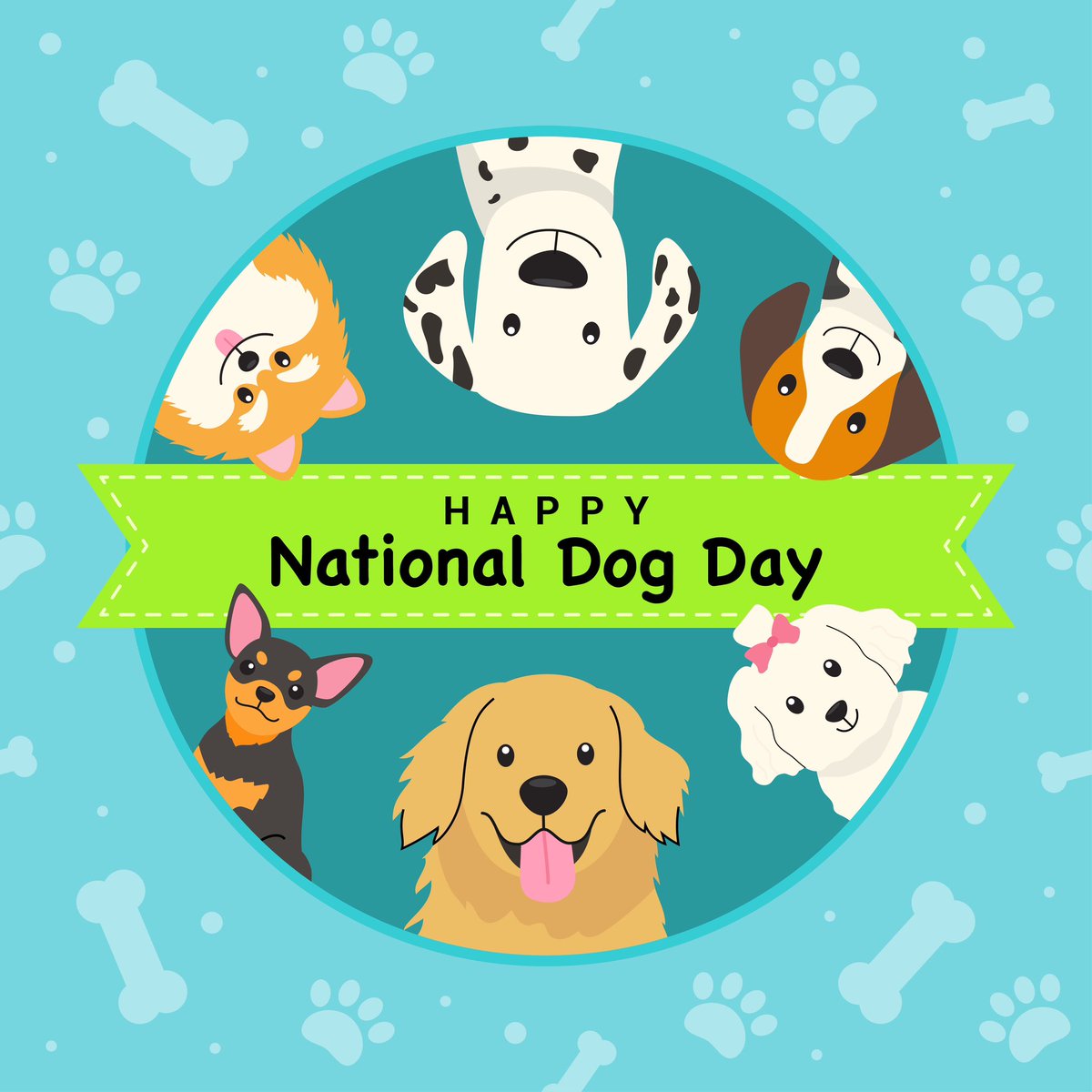 MuttandJoe's tweet photo. Happy National Dog Day from Mutt &amp; Joe! 
.
.
.
#muttandjoe #dogwash #doggrooming #coffeeshop #marylandgroomers #marylanddogs #marylanddogspots #marylandcoffee #mddogs #severnapark #severnaparkmd #severnaparkdogs #nationaldogday https://t.co/eoiGSxDKU8