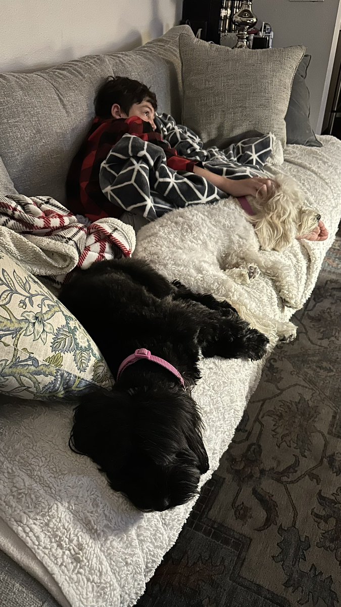 #NationalDogDay you say? Ok, here you go!