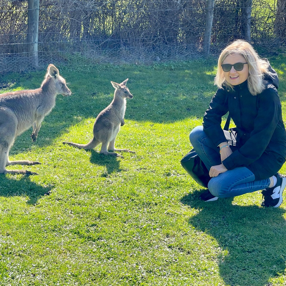 Shustova Group tweet media