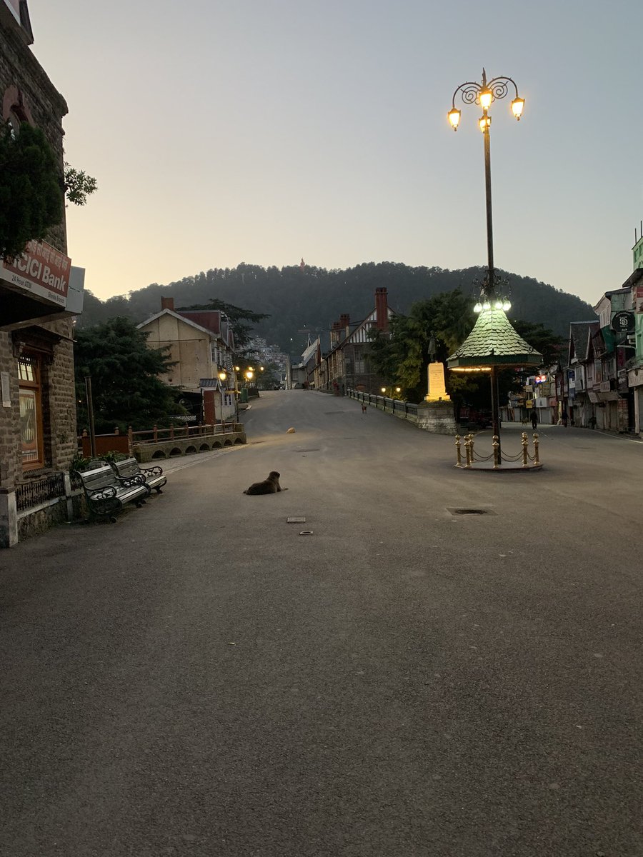 Anilkimta2's tweet photo. Good Morning Shimla https://t.co/WZFPFtrJLQ