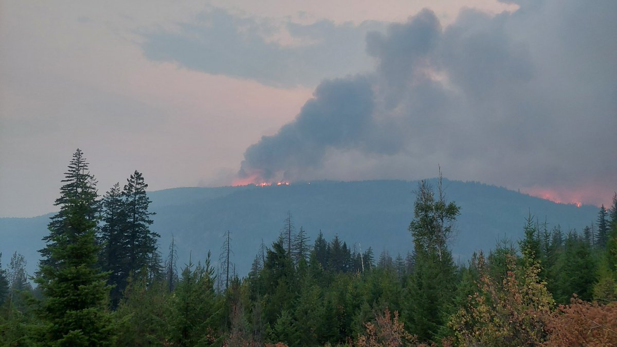 ShuswapKicker's tweet photo. NOTE TO ALL SHUSWAP RESIDENTS. If you see fire🔥CALL 911 immediately.
#bushcreekfire #shuswapkicker #shuswapscoop
Kicker photo: Lee Creek Backburn Thursday August 17, 2023 8:15 pm https://t.co/r0PgDIZJd0