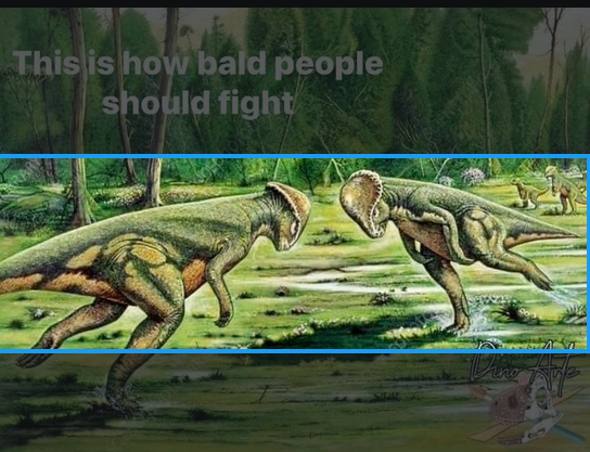 guys how do I fit this as my banner?