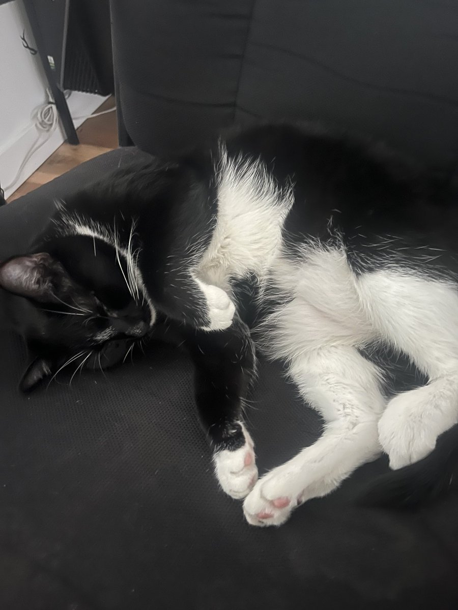 this is what she be doing all day long when im not home
