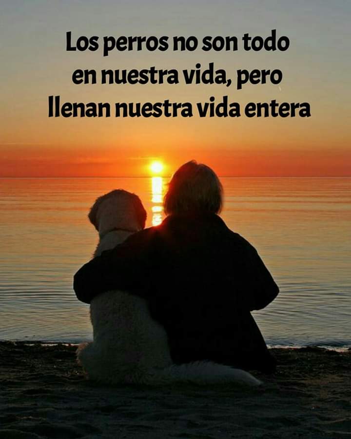 GRamirezF_D12's tweet photo. Buenas noches ✨💖 https://t.co/4MMyaYJ6S1