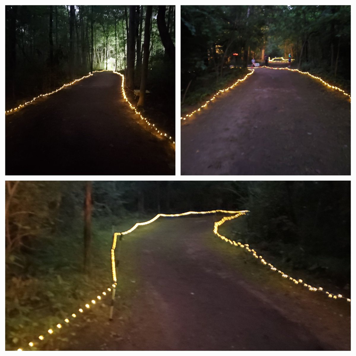 els_eagles's tweet photo. How do you run in the woods at night? 8000 feet of lights line the trails. Imagine the dedication to make this happen. Proud to be an Eagle! https://t.co/AhNcMwnh68