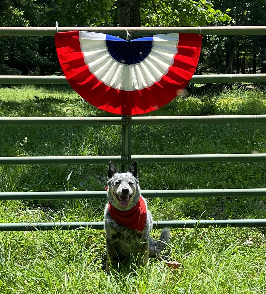 Happy <a href="/NationalDogDay/">National Dog Day™</a>!