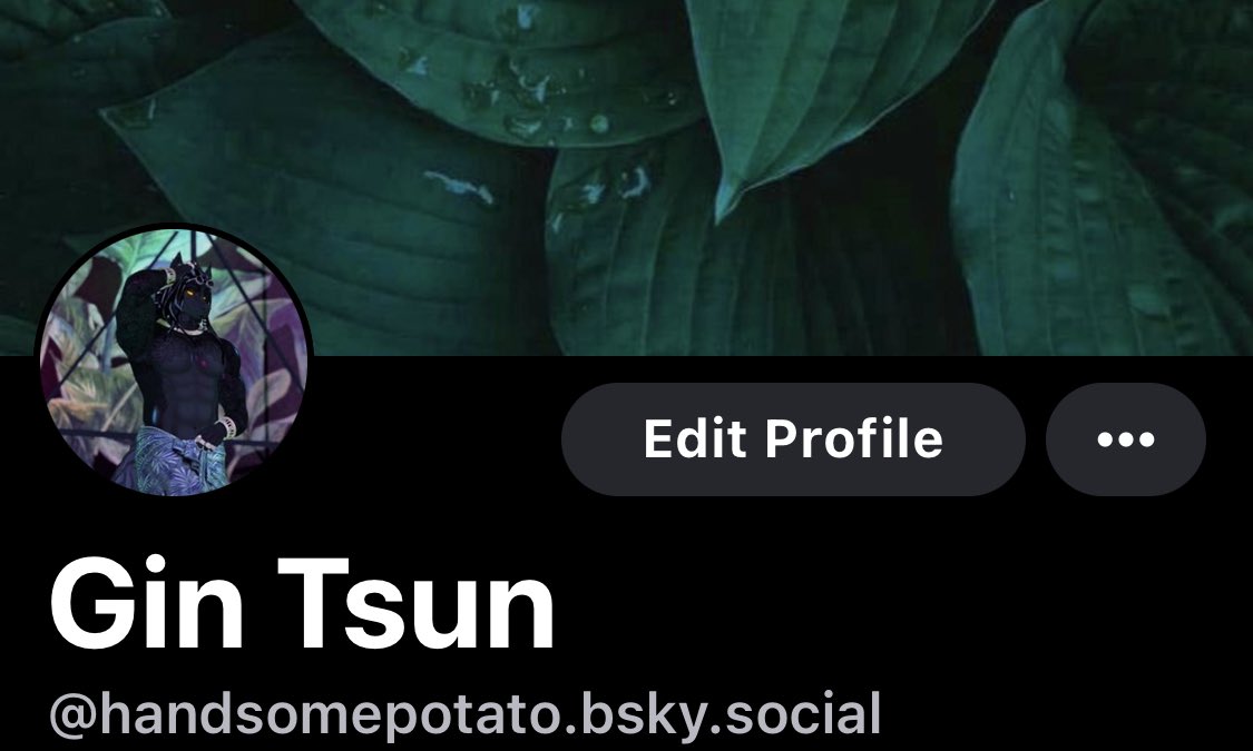 Gin ~✧˖°𝑳𝒆𝒘𝒅 𝑺𝒑𝒊𝒓𝒊𝒕°˖✧~ tweet media