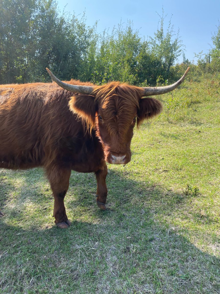 Starting to get a bit of length this summer