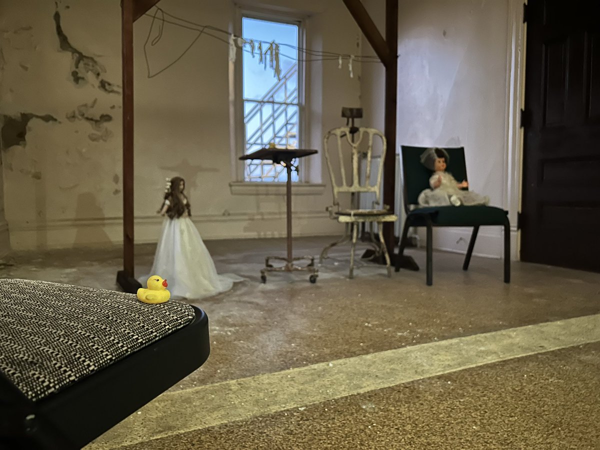 zombie_queen826's tweet photo. My @ProjectFearYT duck came with me to #MadisonSeminary https://t.co/5MFohJLdDD