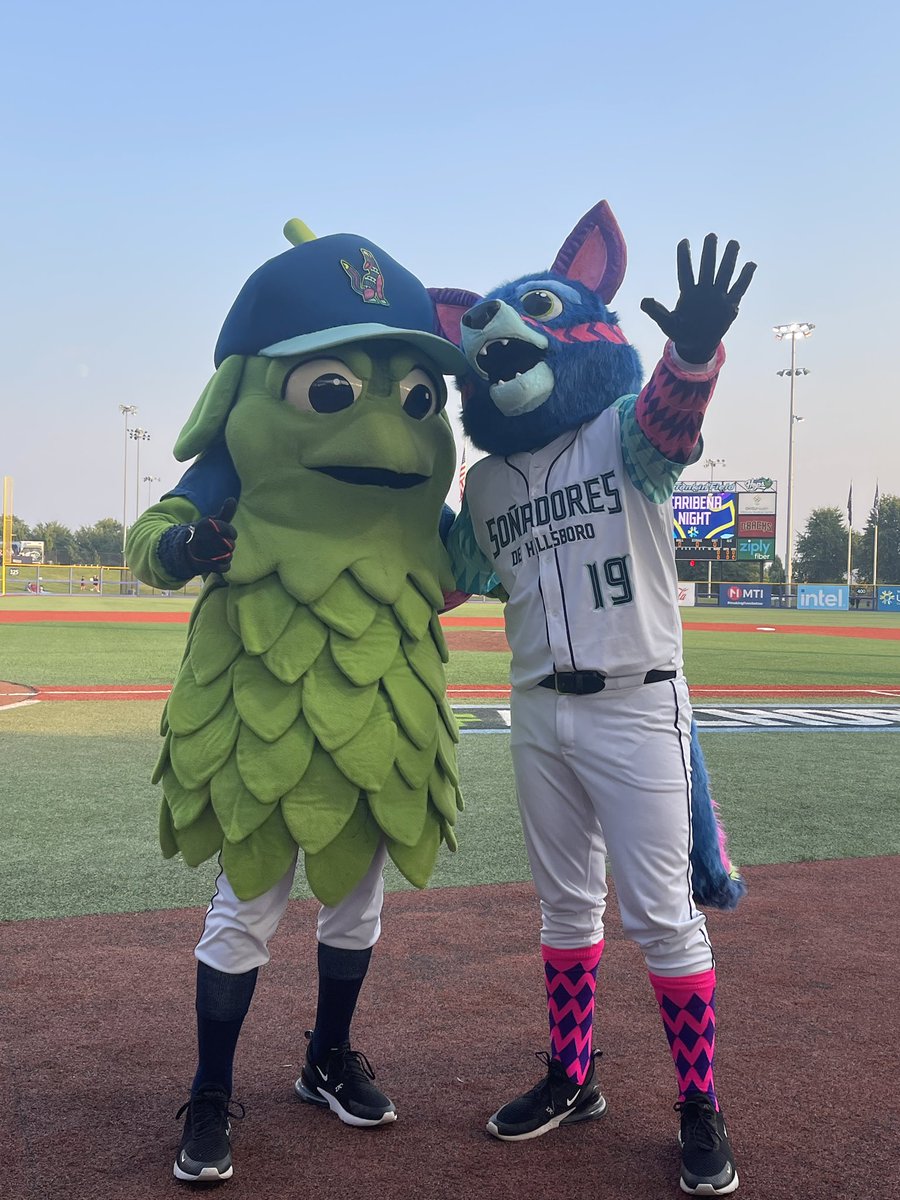 SteveCallaway2's tweet photo. @BarleytheHop and #Bacaanda the two best mascots in @MiLB @HillsboroHops #LosSoñadores https://t.co/H0cpUG7WBM