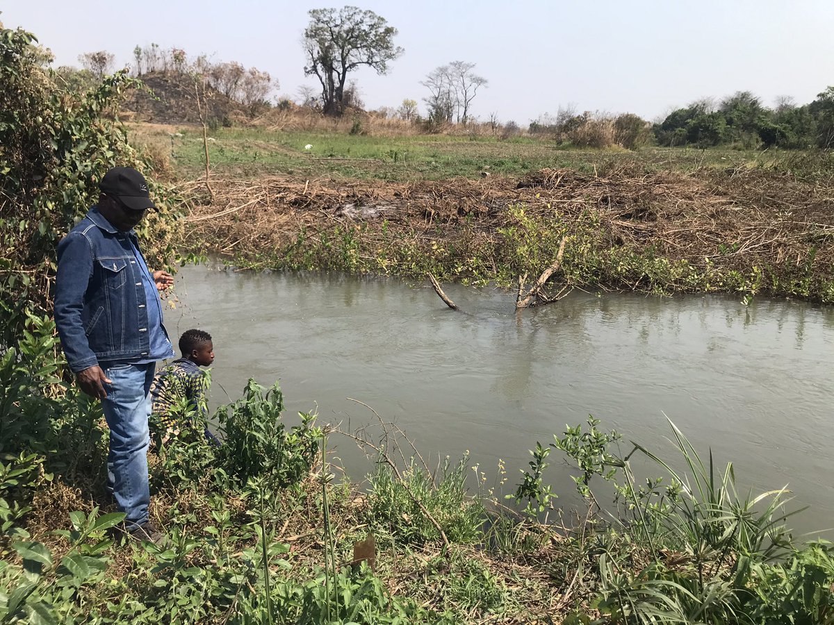 Valorisation des bassins humides de la Kiswishi par FERKAL Agrobusiness! Faire autrement de l’agro business par et avec les professionnels!