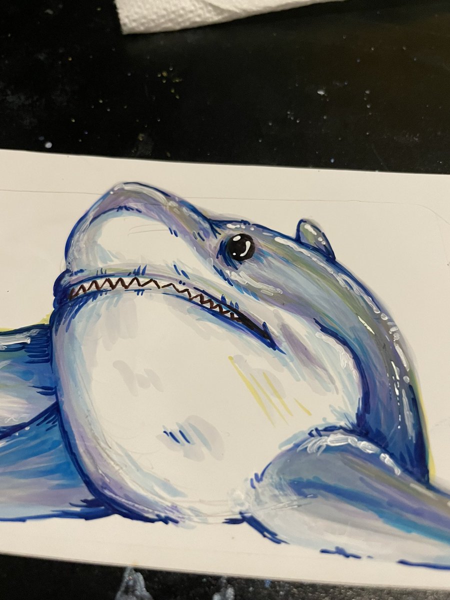 Kaylar026's tweet photo. Shark sticker!! https://t.co/EalKGTIznG