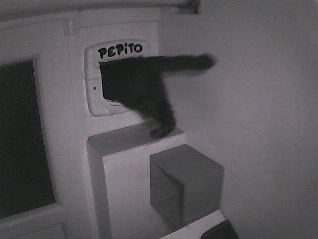 Pépito is out (04:24:47)