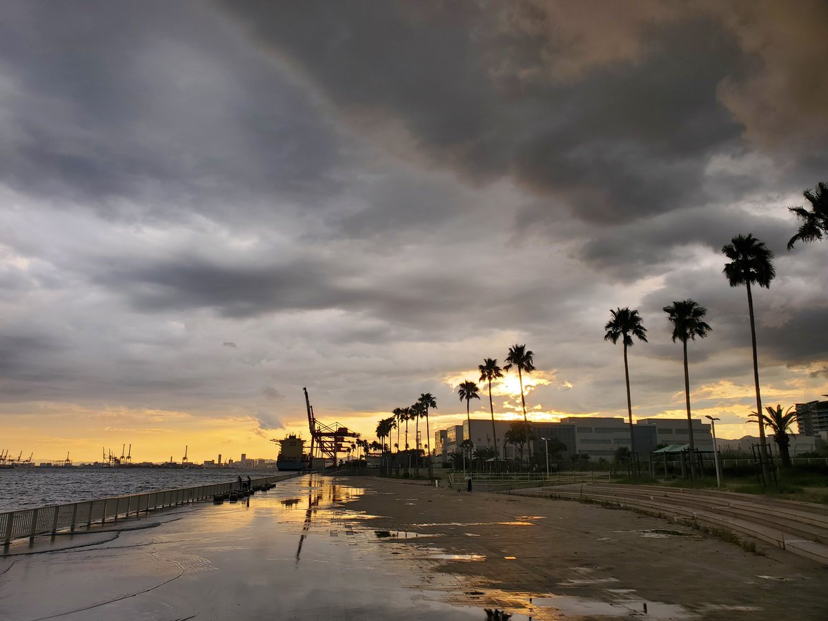 22c2w_Official's tweet image. 昨日は六甲アイランドマリンパークで「夕涼み会」を開催しました。

しかし夕方からゲリラ豪雨的な雷雨に見舞われ早々に解散となりました😅

でも、去り行く夏の思い出となるイベントになりました🤗

#rx2 #rx3 #rx4 #rx5 #mazda #mazdarx7 #fd3s #rx7 #rx8 #sa22c #cosmo #zomzom #rotary #13b #12a