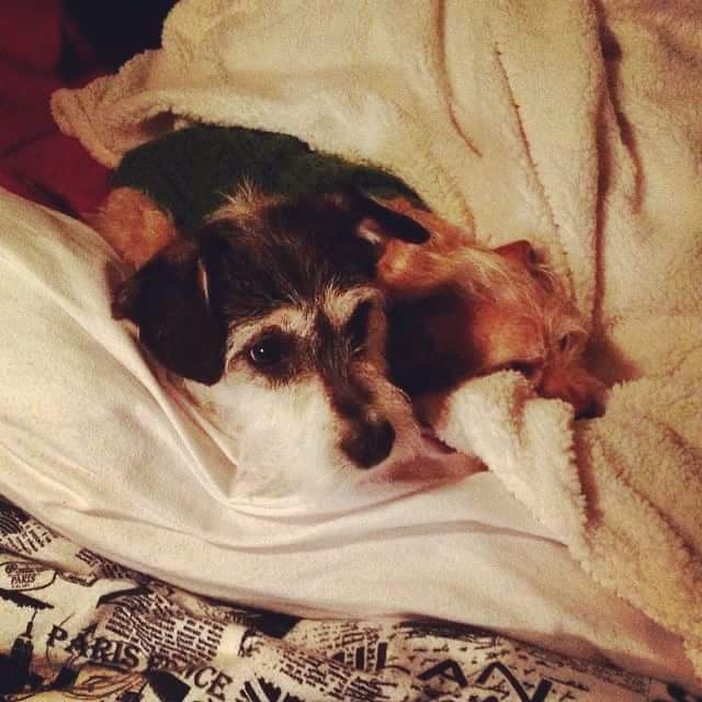 Missing these two all the time. Dog day hits different this year. 💔😢