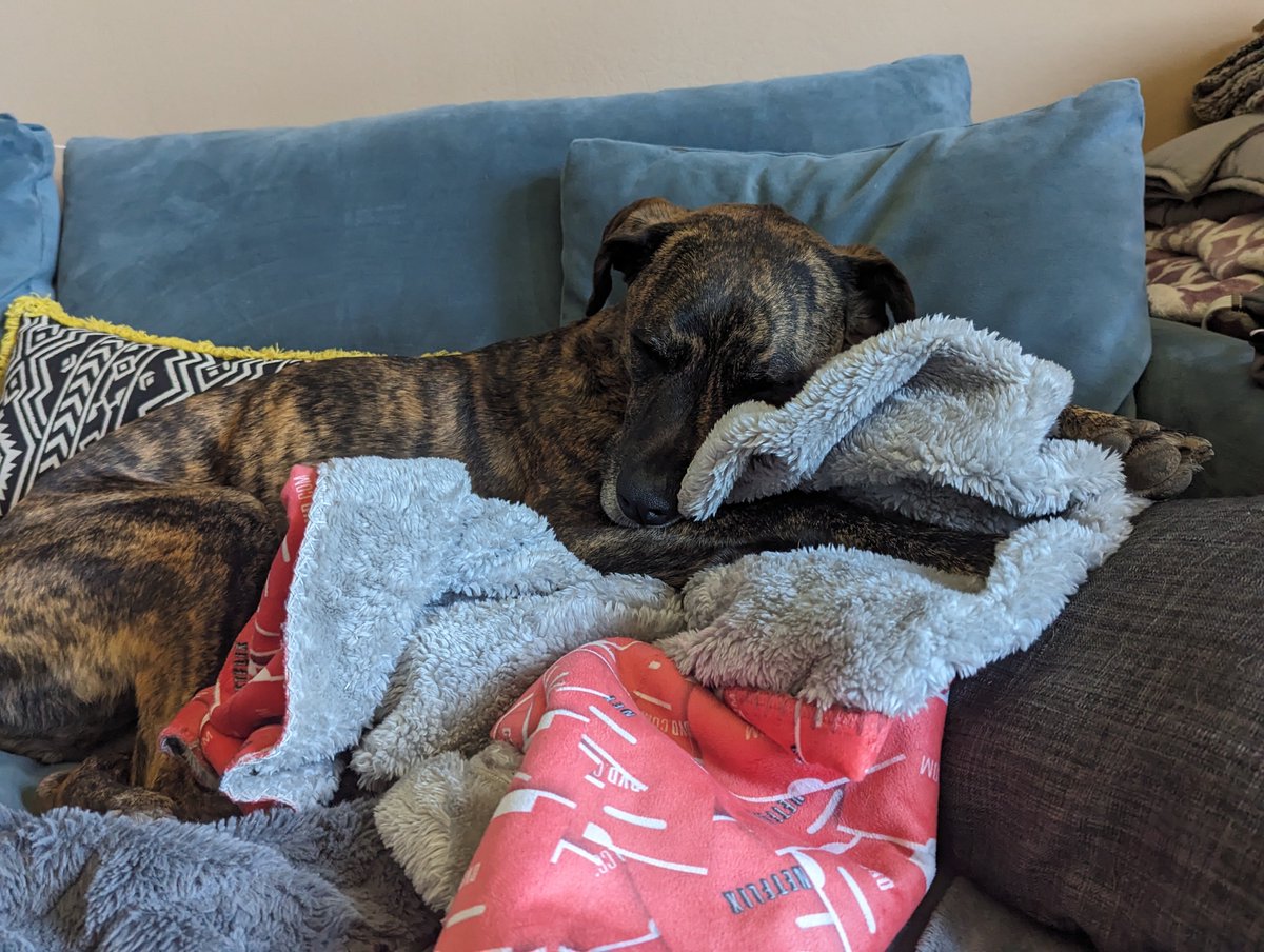 Rob Zienert tweet media