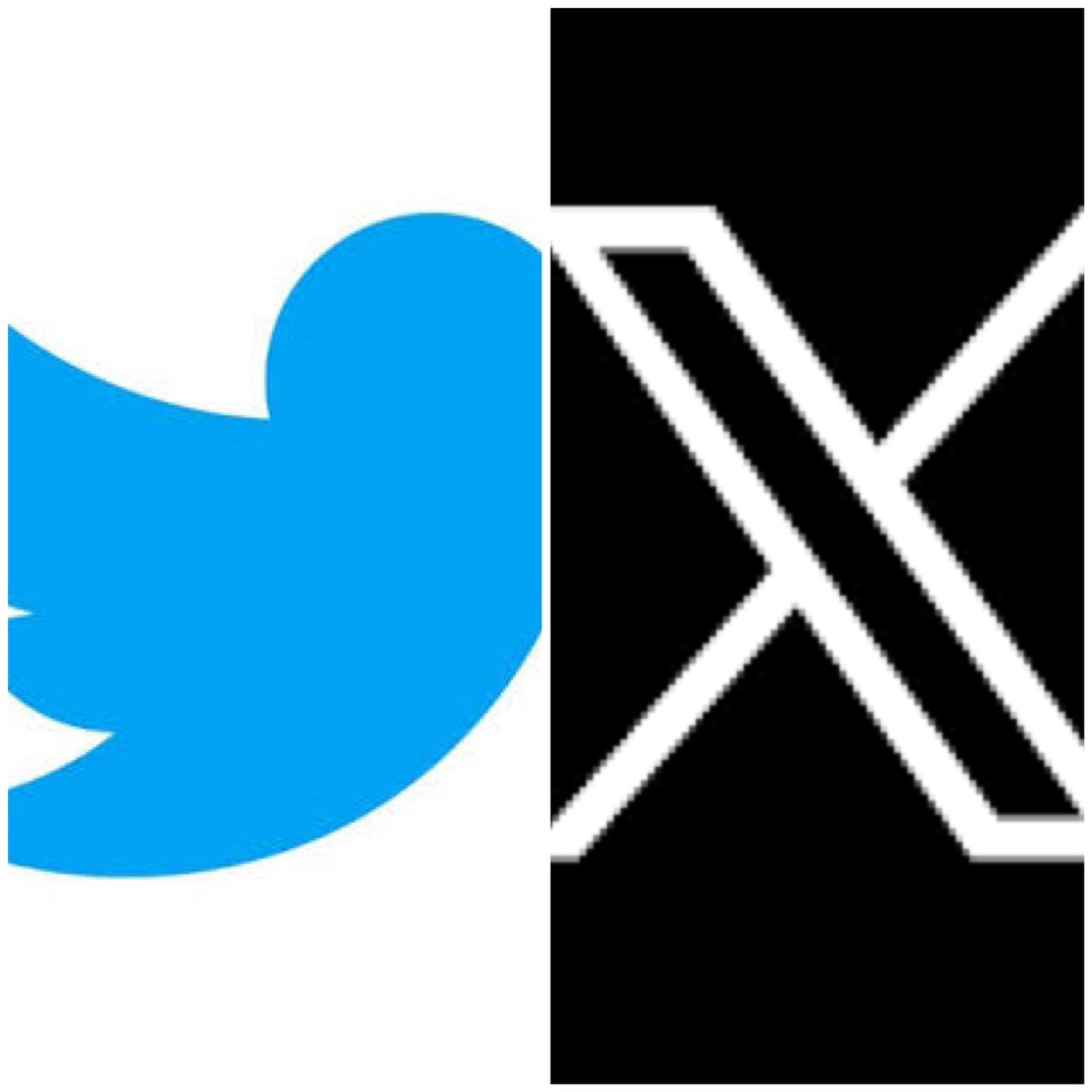 Has your business changed logos?