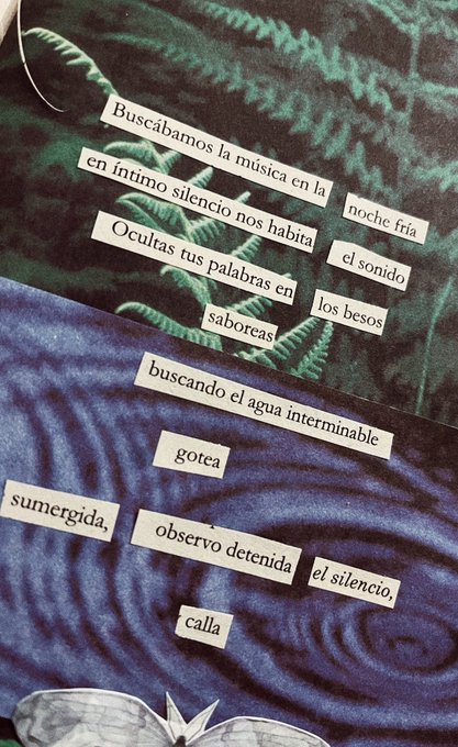 S&aacute;bado https://t.co/0XKKCKdC20