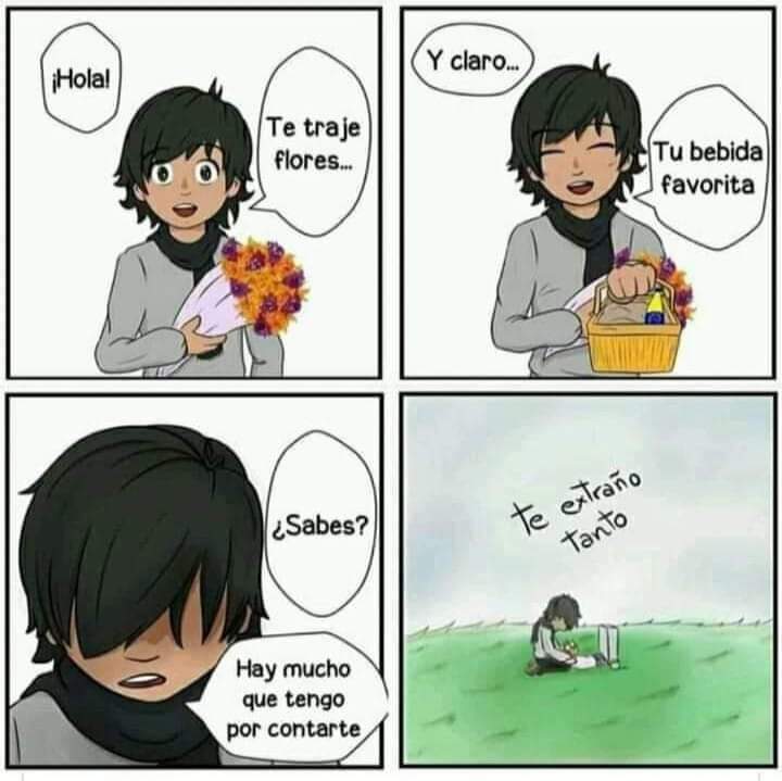 lfortiz09's tweet photo. Tus 400 conejos y tantas.. tantas cosas por contarte 😢😢❤️‍🩹 https://t.co/hYHwPVcTcB