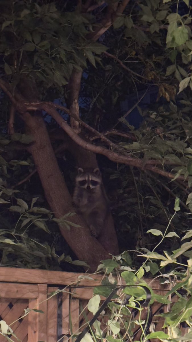 Florence tweet media