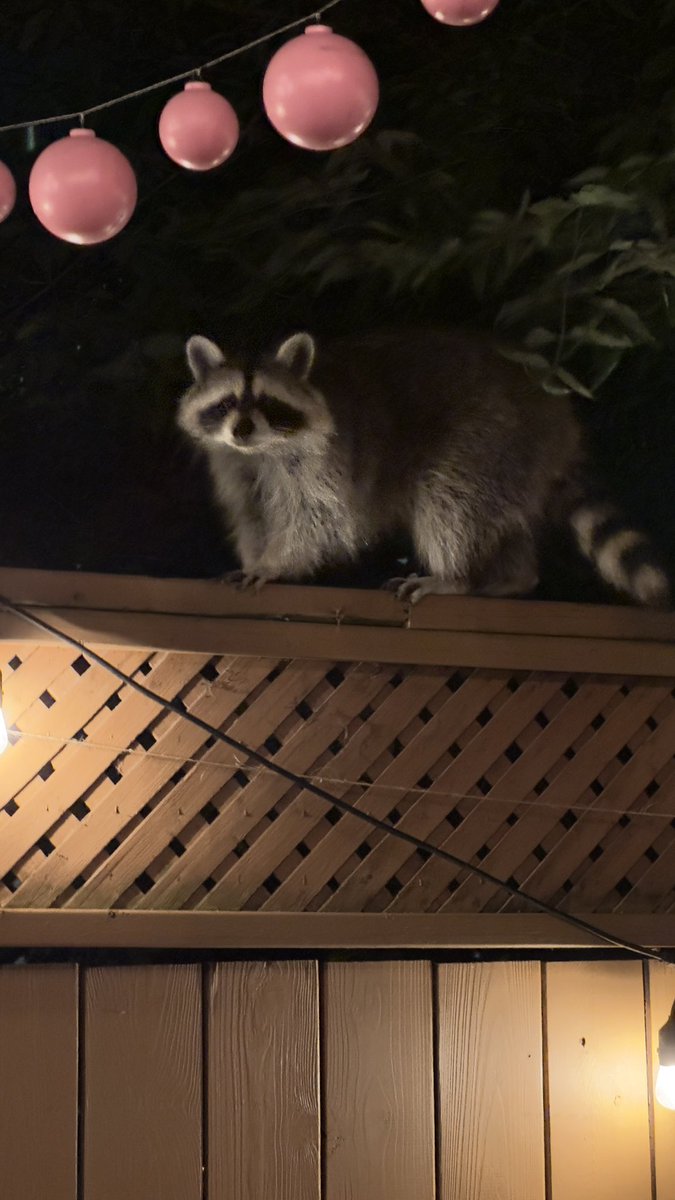 Florence tweet media