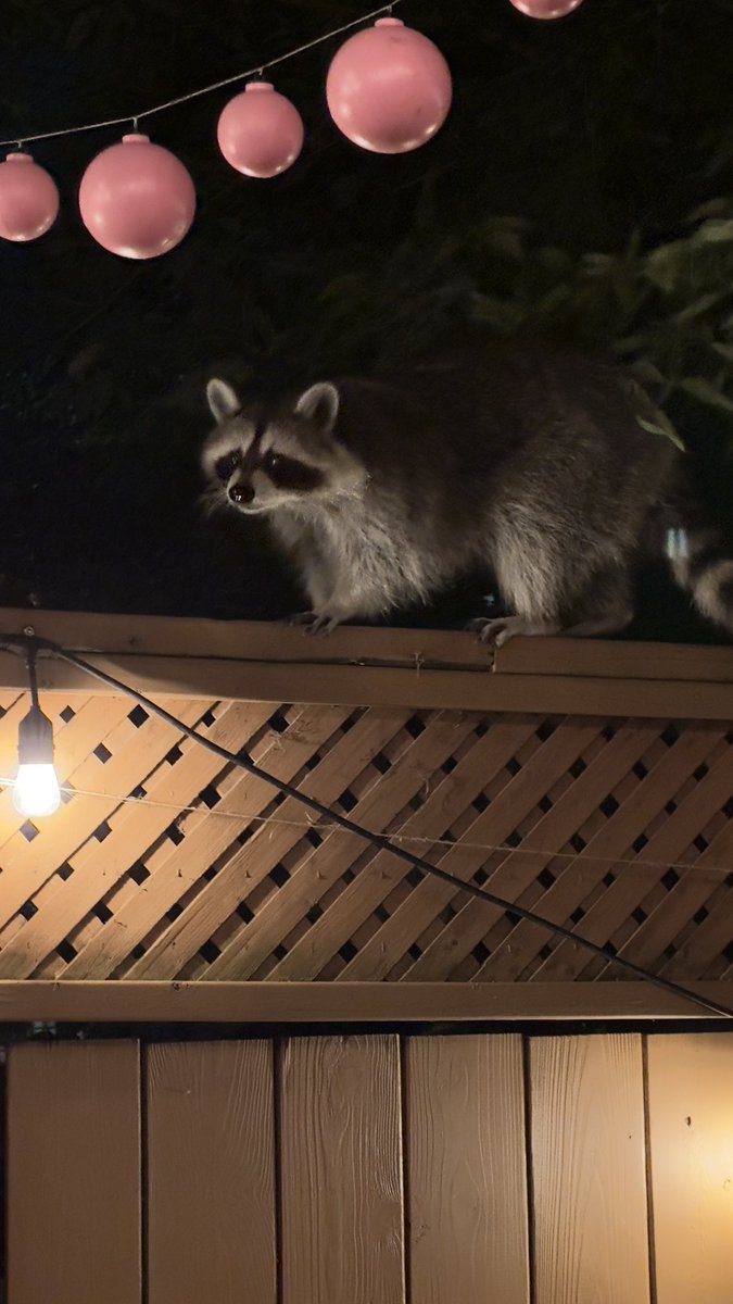 Florence tweet media