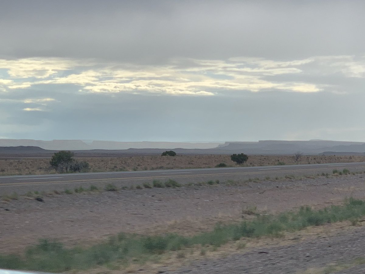 Amalia Sollars tweet media