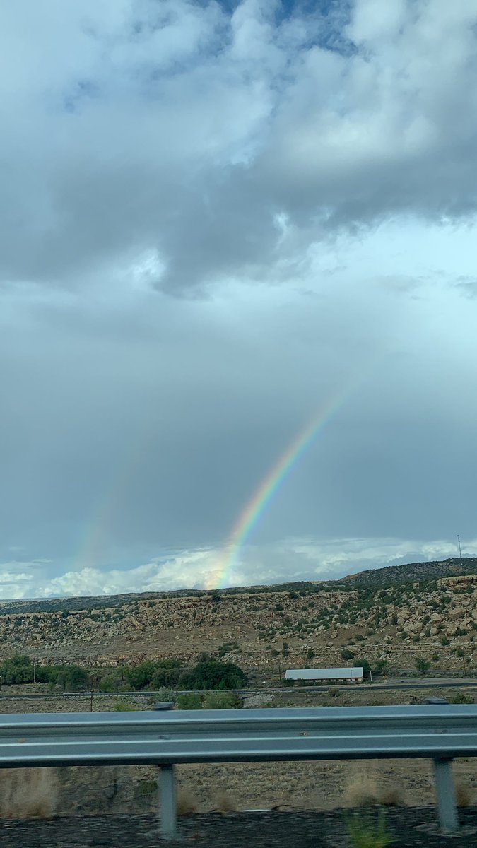 Amalia Sollars tweet media