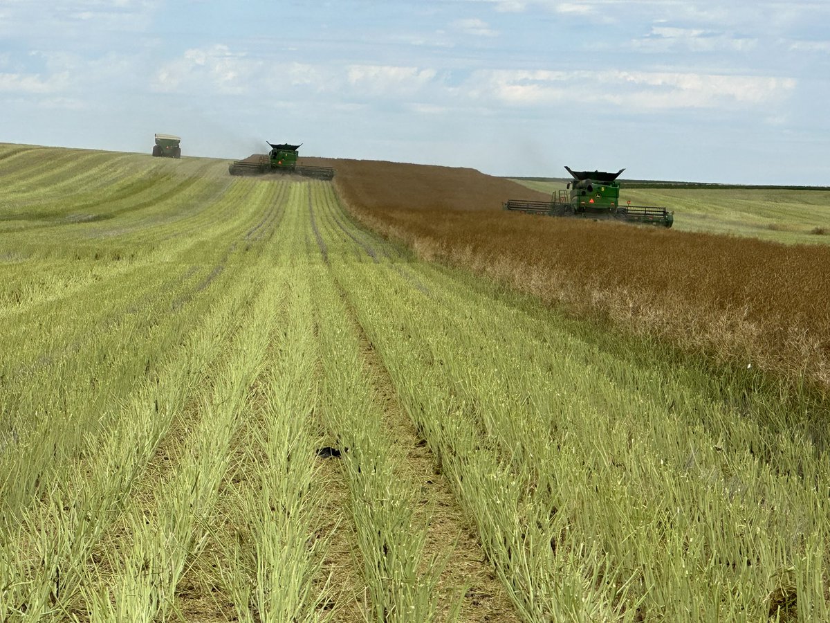 Travis P. Messer tweet media