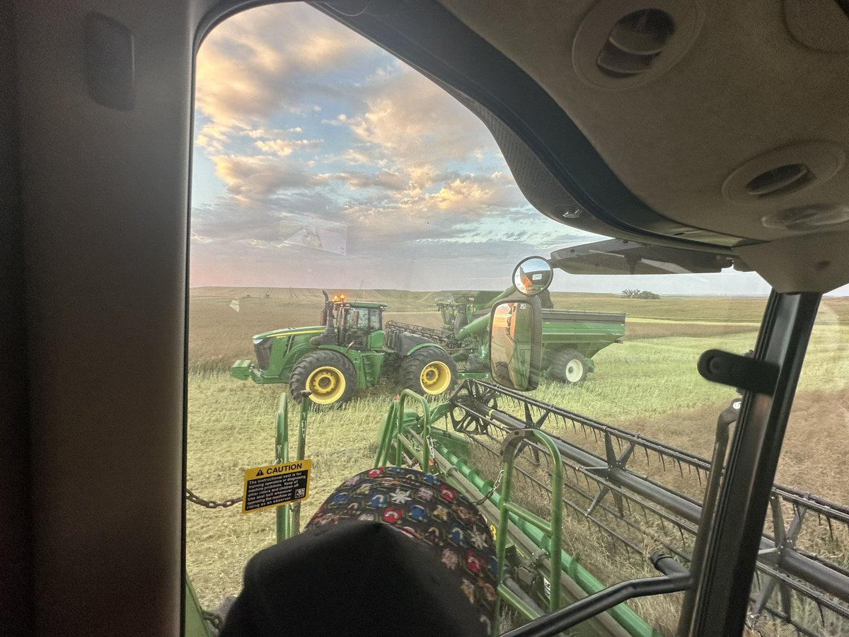 Travis P. Messer tweet media