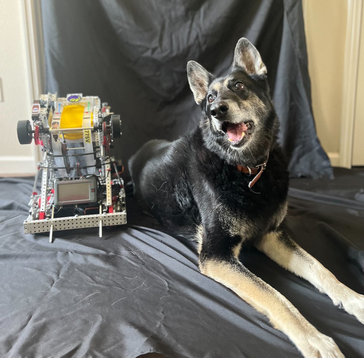 REC_Foundation's tweet photo. Happy National Dog Day! 🐶
It looks like our furry friends are competition-ready!
#recfoundation #aerialdronecompetition #drones #stem #Robotics https://t.co/EYRkHw8c5y