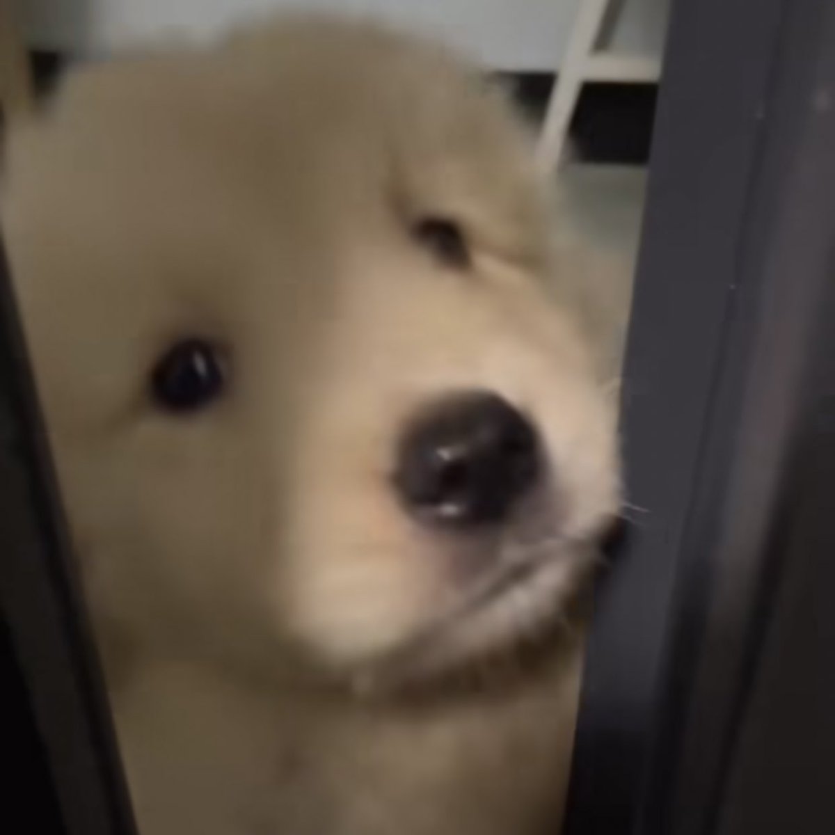 takemybear's tweet photo. เช้าแลว ตุ่นได้ยางบิบิ๋ 🥺 https://t.co/33KVQVB68v