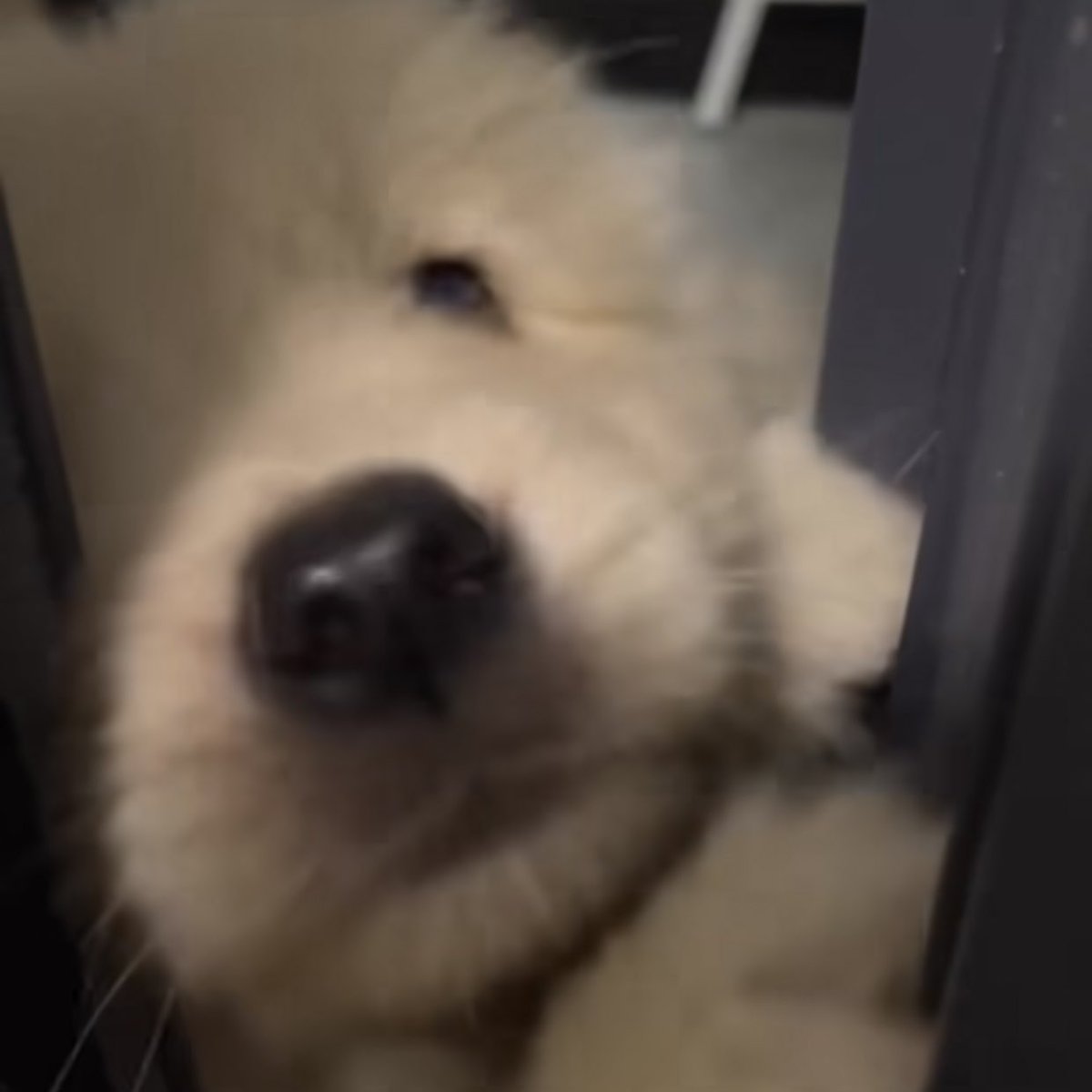 takemybear's tweet photo. เช้าแลว ตุ่นได้ยางบิบิ๋ 🥺 https://t.co/33KVQVB68v