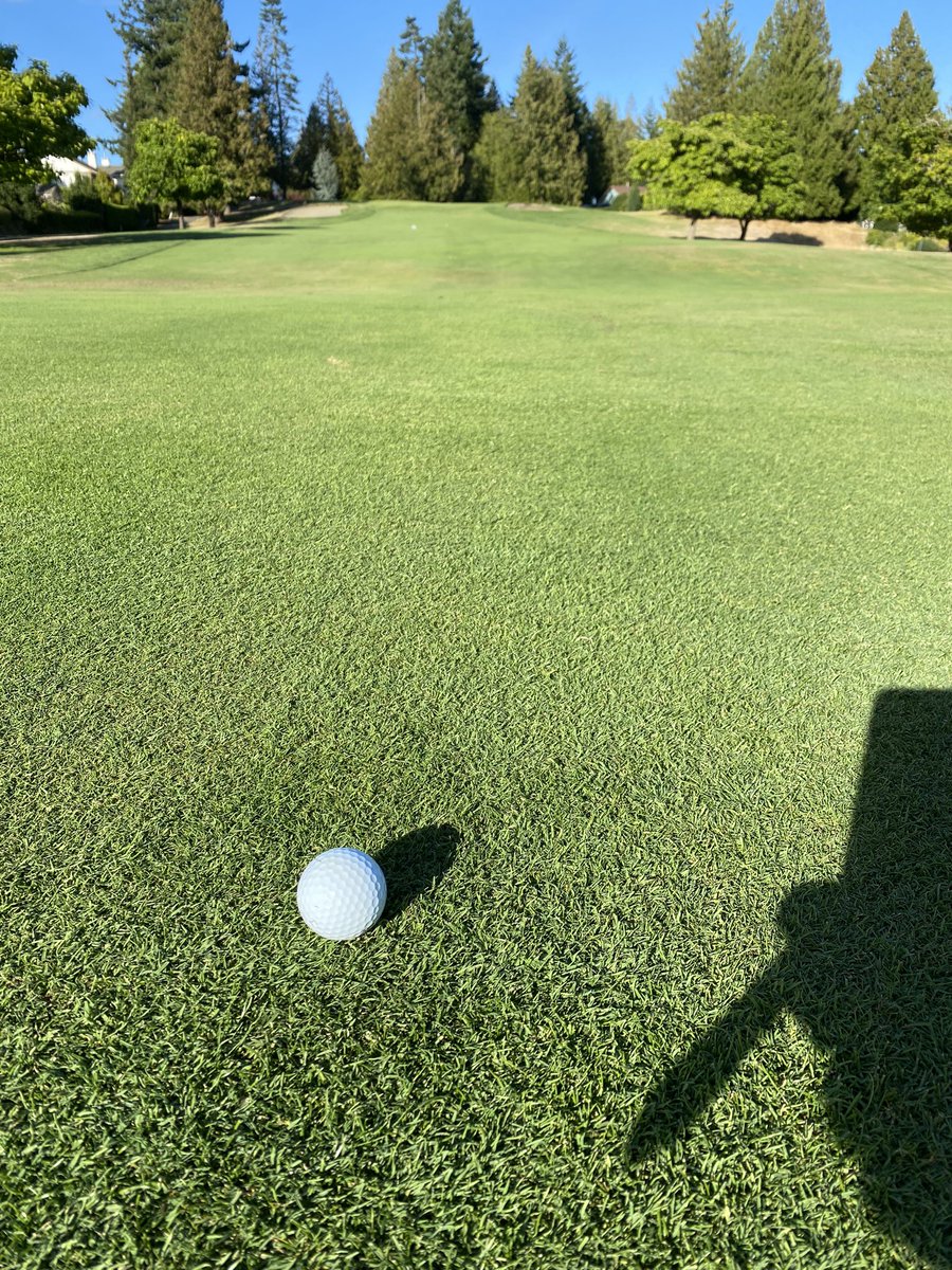 moreatArdmore's tweet image. Y’all ready for the annual course closure event at arbutus ridge? October 12th. Free food, free golf, and some other stuff from our sponsors. This years topic is gonna be grief. We’ve all had it, but do we know how to deal with it?