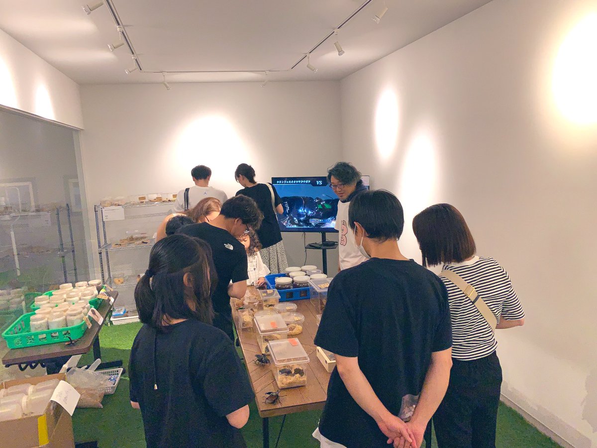 kanon_arst's tweet photo. わー!!!
スタート30分で大変賑わっております!!早い者勝ちですので
お目当てがある方はぜひお急ぎください(っ ॑꒳ ॑c)ビュンッ
#カブトムシ
#クワガタ
#カブクワ即売会
#PLAN2 https://t.co/LlqaOl3Rmd