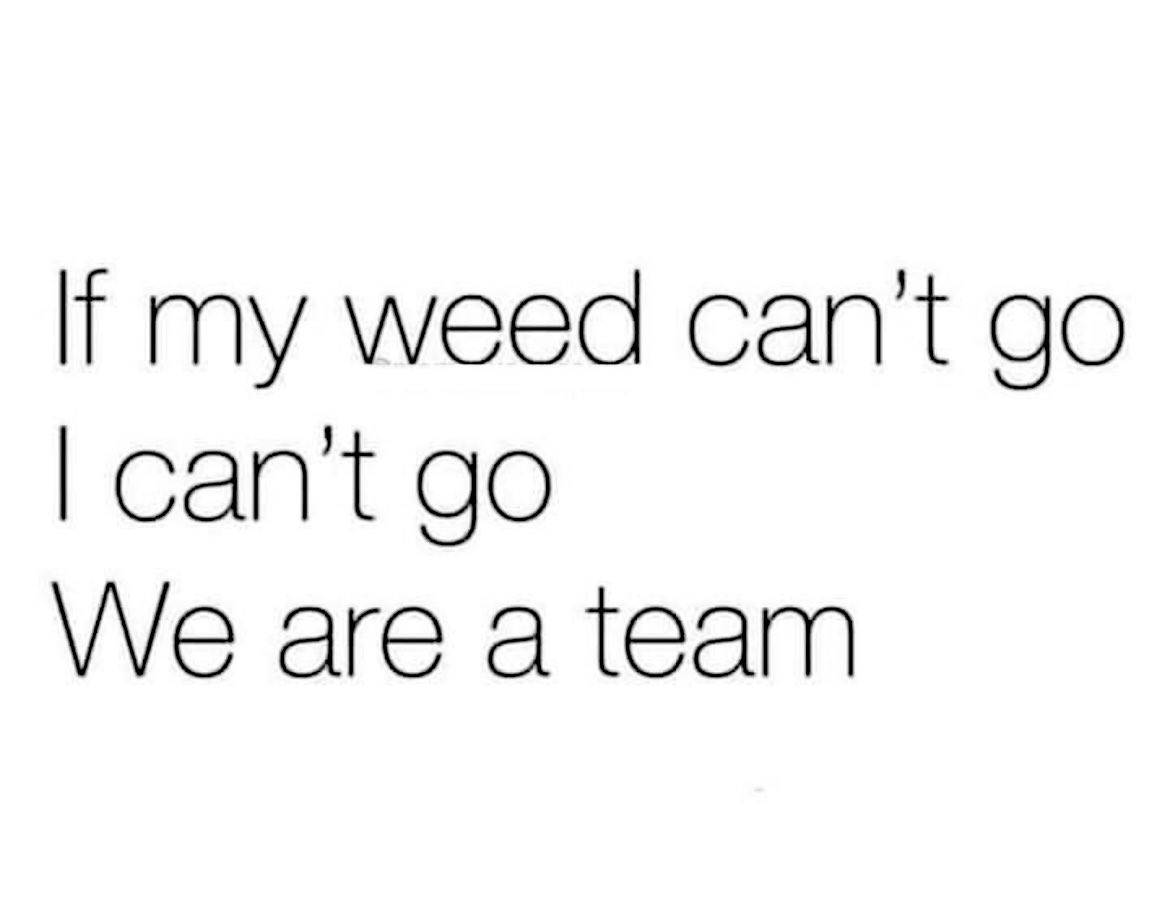 iFlyHigh™ 🎄 tweet media